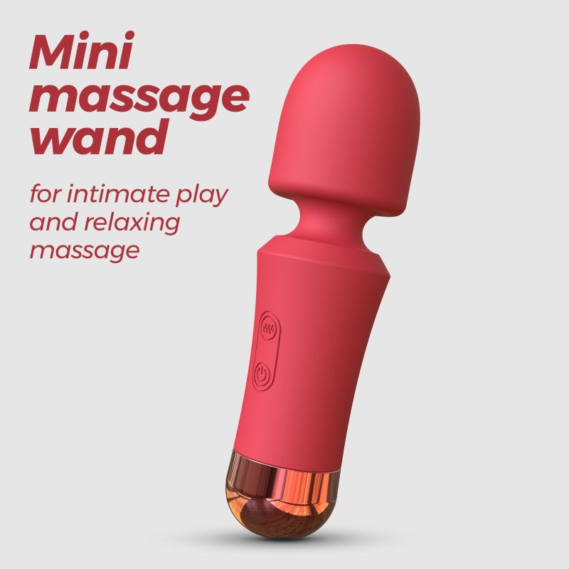 WANDA MINI VARINHA...