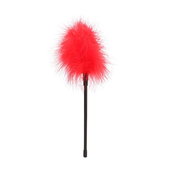 ESPANADOR DE PLUMAS OUCH!...